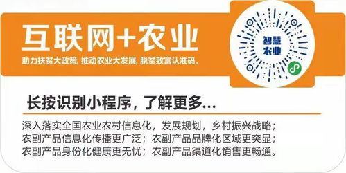数字翅膀助农飞，互联网+农业打通乡村振兴新销路