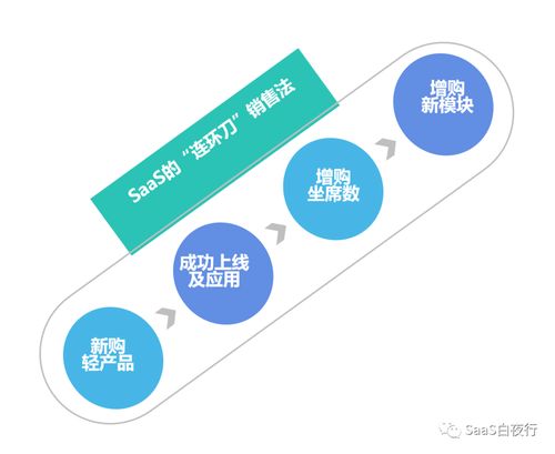 SaaS公司 软件与互联网的双重基因，驱动销售新范式