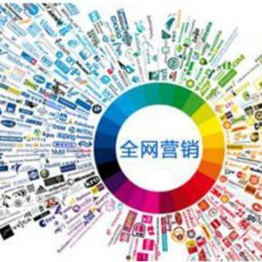 互联网全网营销宝典 从流量到销量的实战指南
